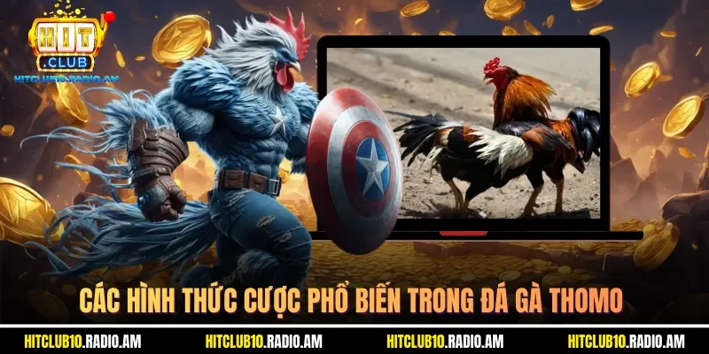 cac-hinh-thuc-cuoc-pho-bien-trong-da-ga-thomo